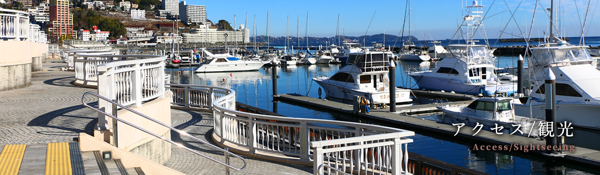 アクセス/観光